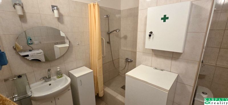 A bathroom with a shower and a washing machine in a studio apartment.