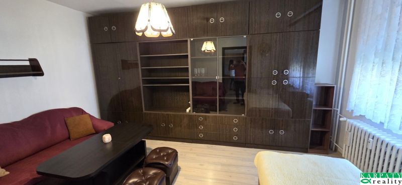 Living room of a studio apartment with a sofa, wardrobe, and wooden decor flooring.