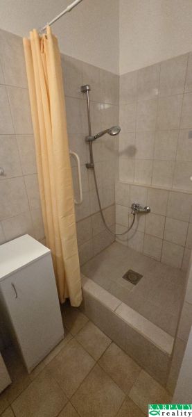 A bathroom with a simple shower and curtain in a studio apartment.