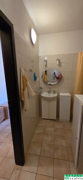 Bathroom in a studio apartment with a shower, sink, and mirror.