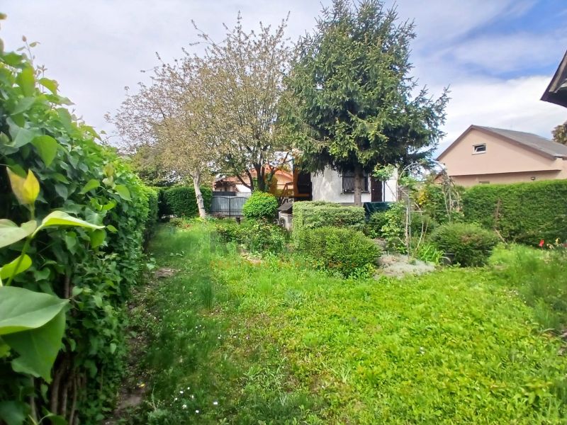 Gardens on Havrania Street in Hamuliakovo with dense bushes and trees.