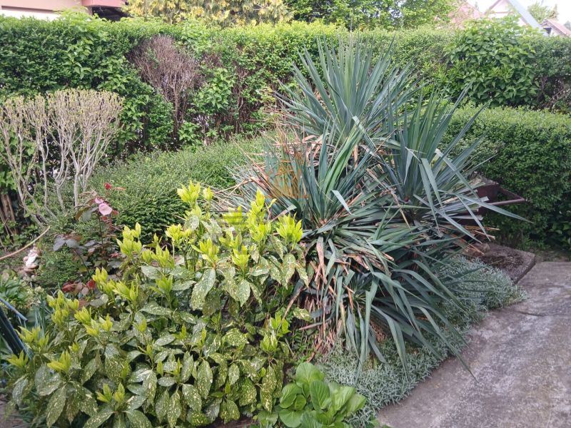 Gardens in Hamuliakovo, on Havrania Street with lush plants and shrubs.