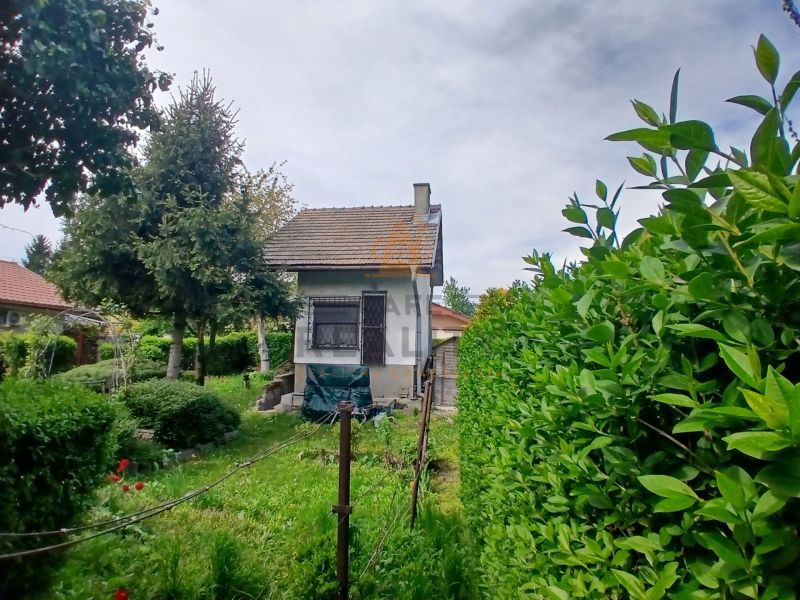 The garden by the house on Havrania Street in Hamuliakovo with dense green vegetation.