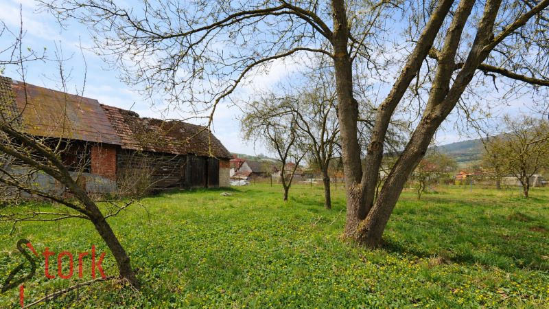 A garden with a lawn and trees behind a family house in Horná Súča.