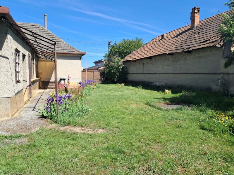 A family house in Tvrdošovce with a garden, flowers, and an outdoor terrace.