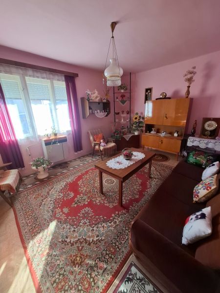Living room of a family house with carpet and furniture, pink walls and decorations.