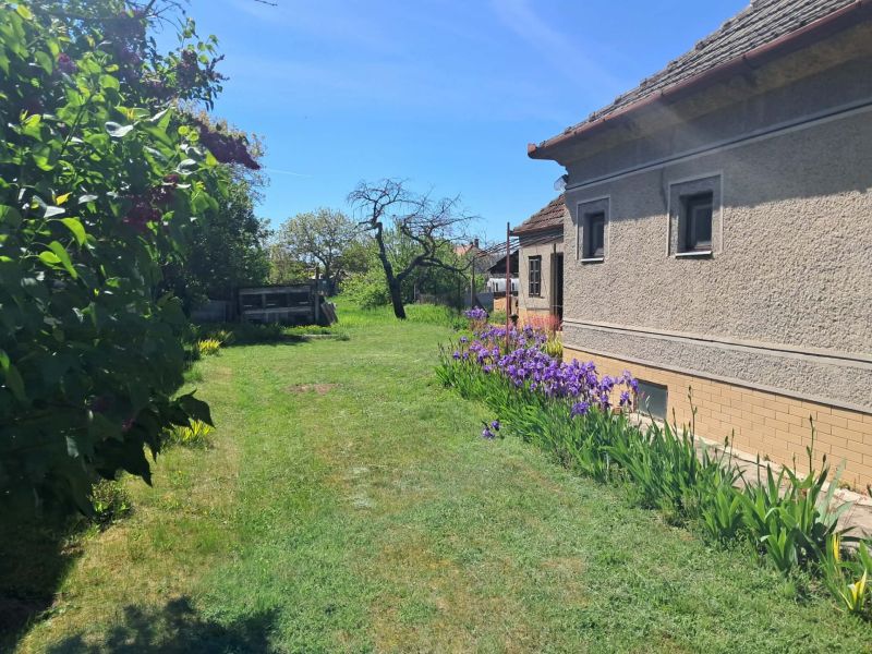 A family house in Tvrdošovce with a front garden and blooming flowers on the lawn.
