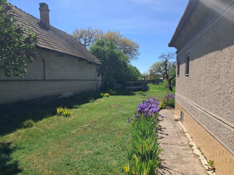 The garden of a family house in Tvrdošovce with flowers and greenery.