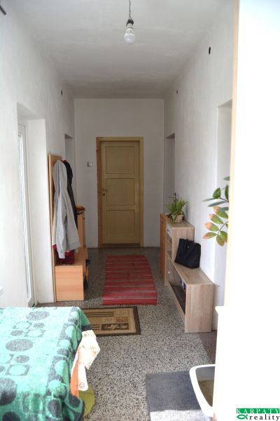 A hallway in a family house with furniture, a carpet, and houseplants.