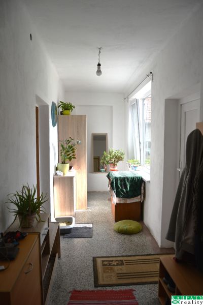 The entrance hall of a family house with windows, rugs, and potted plants.