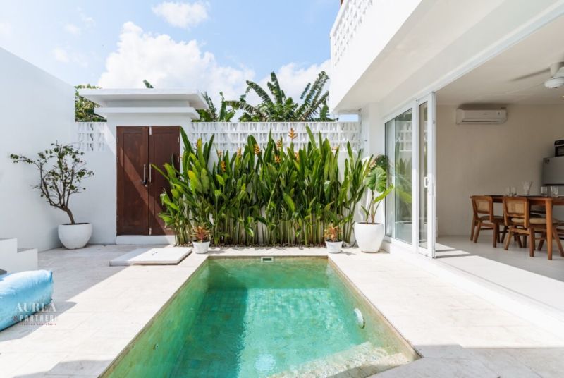 A villa in Bali with a small pool, green plants, and a terrace.