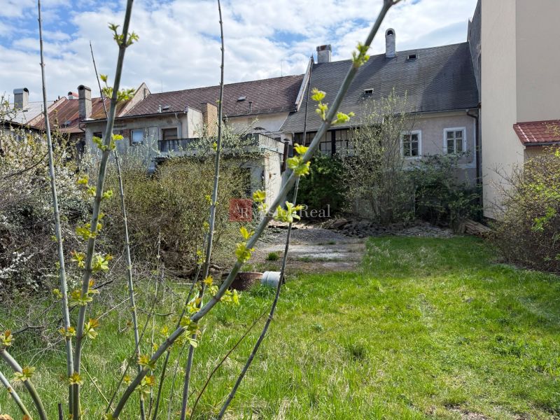 A garden at a family house in Kremnica with a lawn, shrubs, and a branch in view.