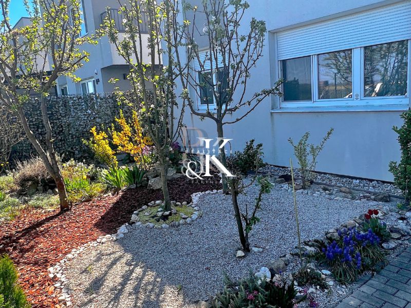 A family house in Boldog with a landscaped garden and diverse plants along the stone pathway.