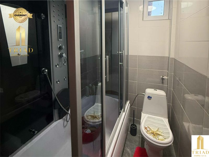 Bathroom in a family house with a toilet, shower, and decorative rug.