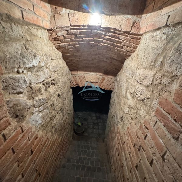 Stone stairs lead to the basement in a family house, with a brick vaulted ceiling.