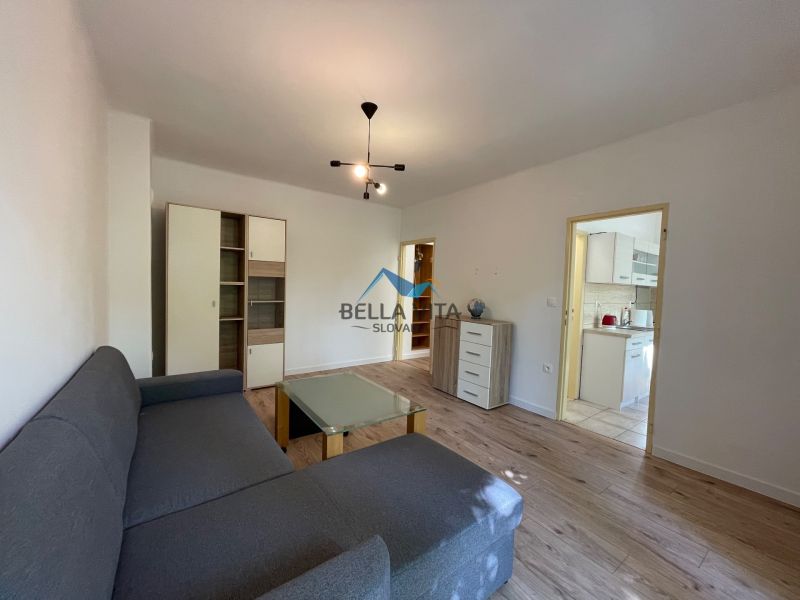 Living room in a two-room apartment with a wooden decor floor and a gray sofa.