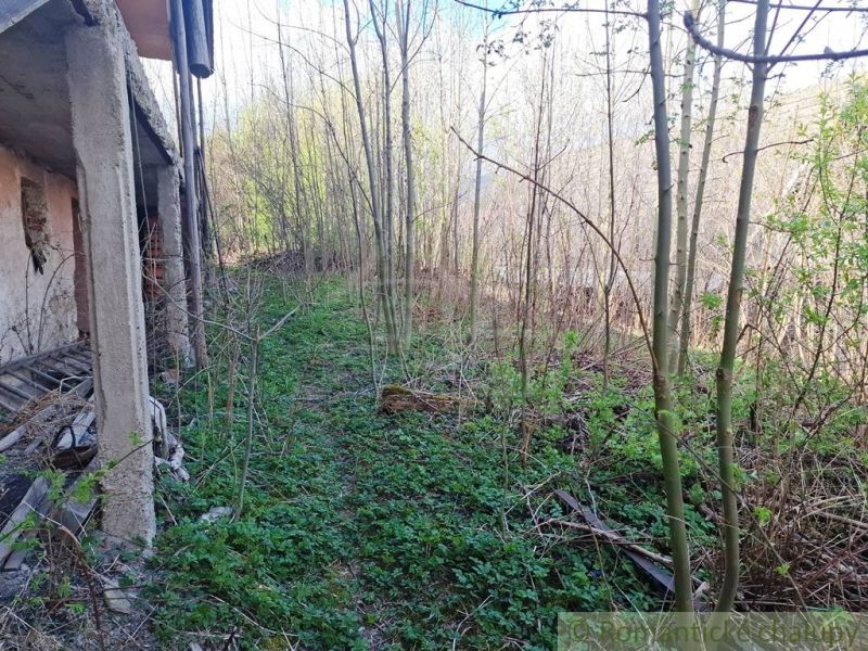 An abandoned building surrounded by dense vegetation in Heľpa. Unusual properties.