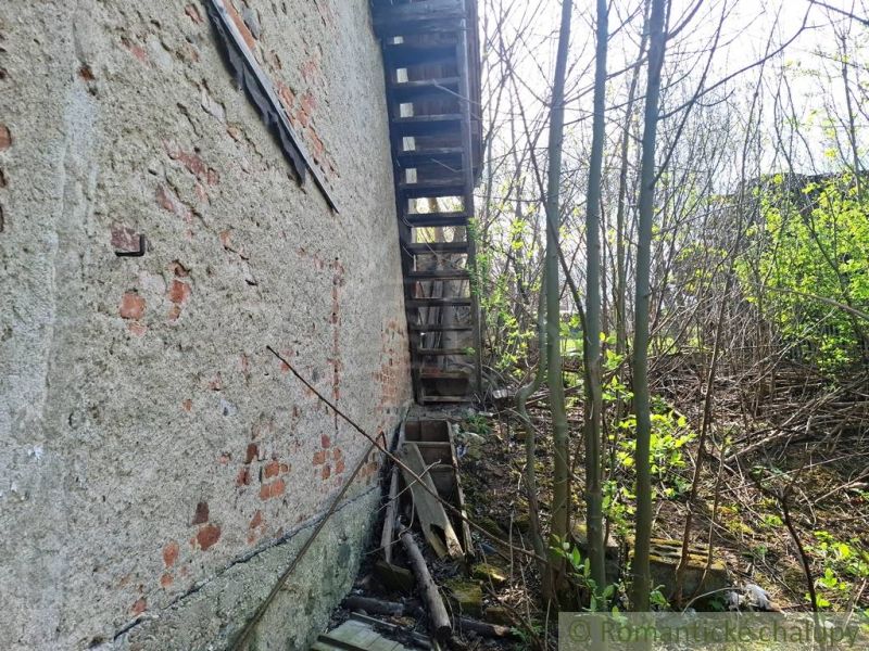 Dilapidated stairs by the wall of Unusual Properties in Heľpa, surrounded by plants and shrubs.