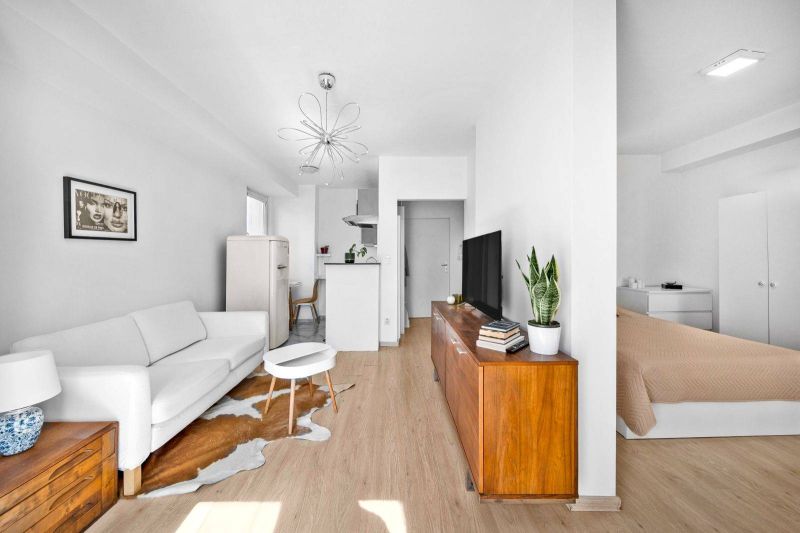 Bright 2-room apartment with wood-patterned flooring, comfortable seating, and decorations.