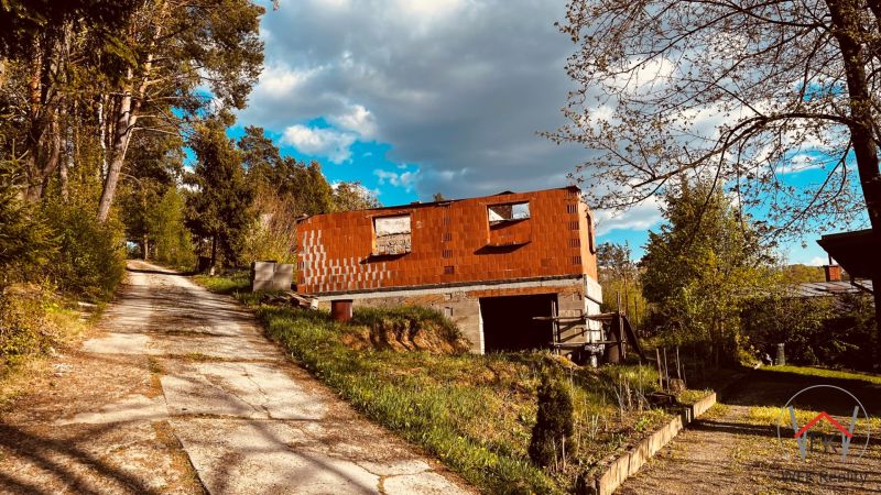 Cottage on Recreation Area Street in Nova Kelca, surrounded by forest trees and a road.