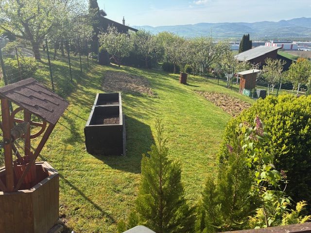 A garden by the cottage in Ilava with a lawn, raised beds, and a wooden well.