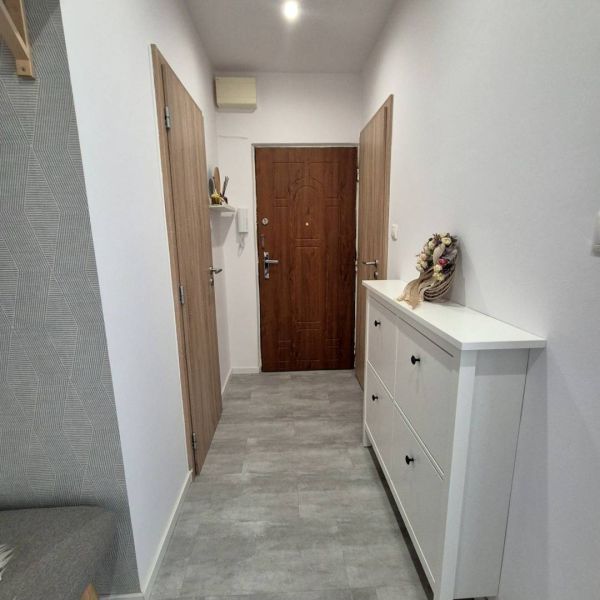 A hallway in a 3-room apartment with a shoe cabinet, wooden doors, and a gray floor.