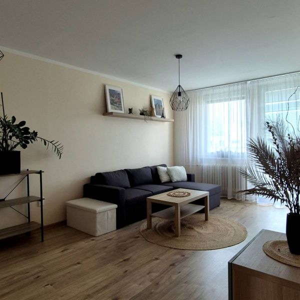 Living room in a 3-room apartment with a wooden decor floor, a sofa, and a window with delicate curtains.