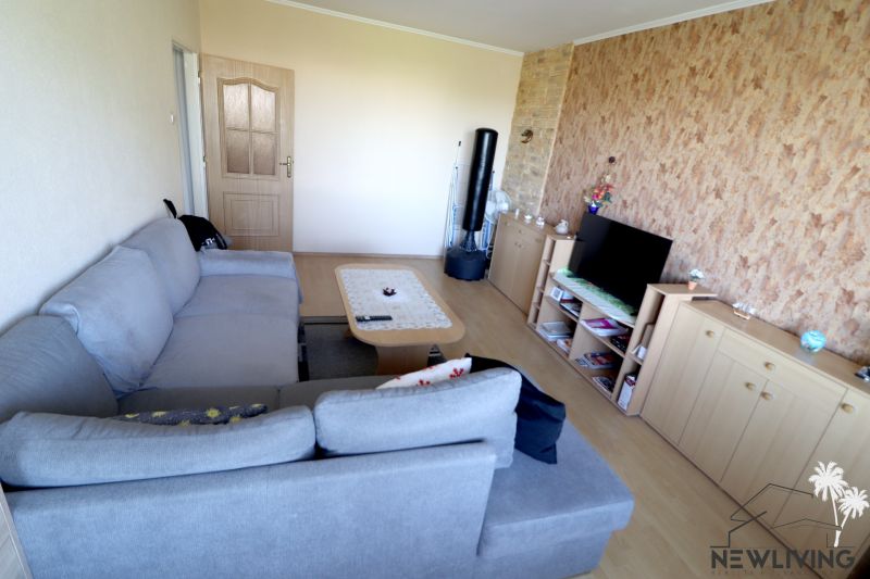 Living room in a two-room apartment with a gray sofa, television, and wooden decor flooring.