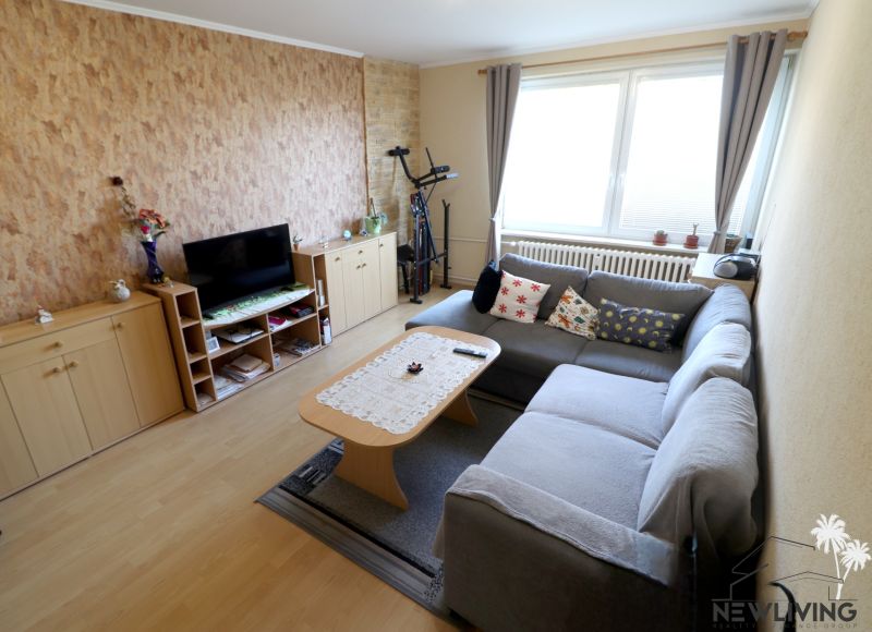 Living room in a two-room apartment with a sofa and furniture, floor with wood decor.