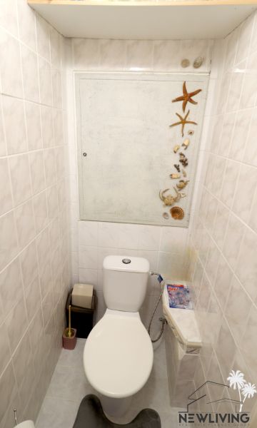 A bathroom in a 2-room apartment with seashell decorations on the wall.