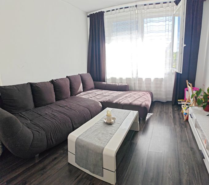 Living room in a three-room apartment with a wooden decor floor and a dark sofa.