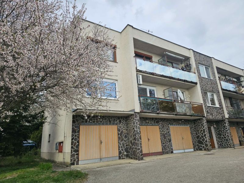 Sídlisko Jelenecká in Nitra with a blooming tree and an apartment building, suitable for a 3-room apartment.