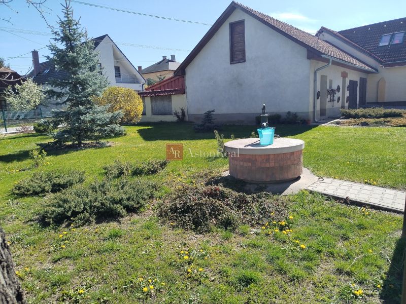 A garden at a family house in Martin with a lawn, trees, and a well.