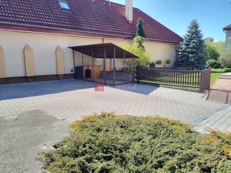 The courtyard of a family house in Martin with space for a dog and greenery.