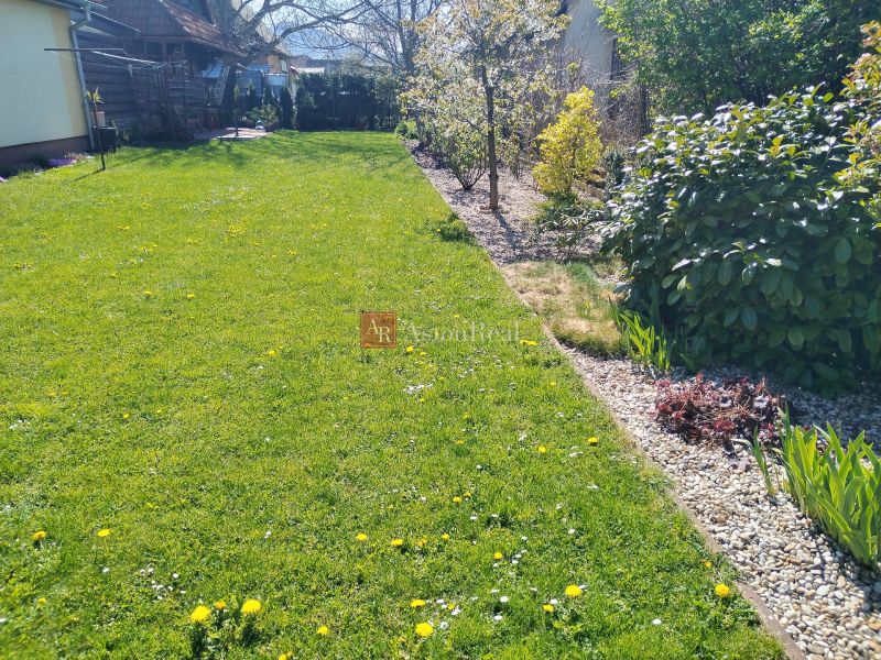 The garden of a family house in Martin with a lawn and shrubs planted along a gravel path.