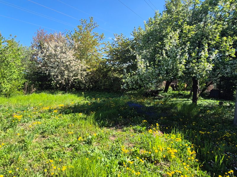 Gardens full of flowers and blooming trees on Vodná Street in Nitra.