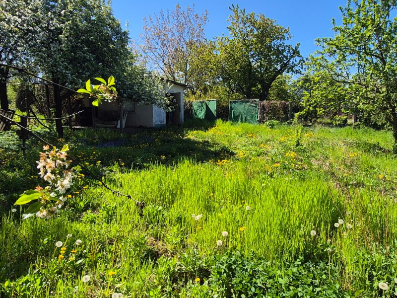 Gardens on Vodná Street in Nitra with blooming trees and grass.