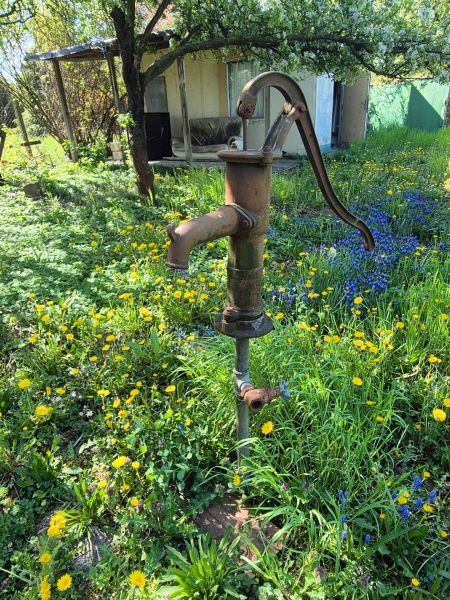 Gardens on Vodná Street in Nitra showcase an old water pump among flowers and greenery.