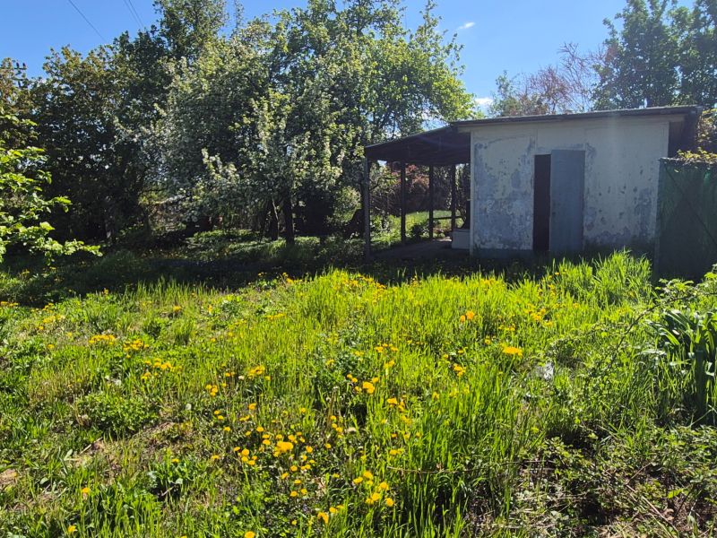 Gardens on Vodná Street in Nitra with a lawn and a small building.