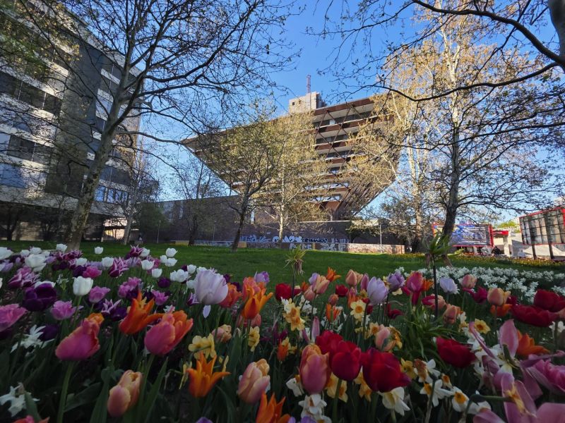A flower bed in Bratislava - Staré Mesto on Tabaková Street with a dominant unconventional architectural feature.