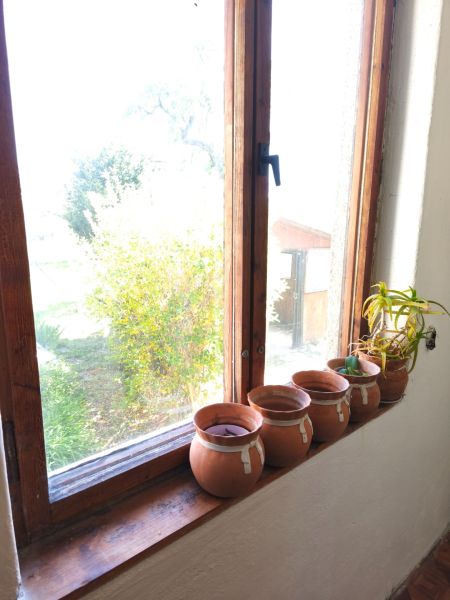 A clay pot and a plant on the windowsill in a family house.