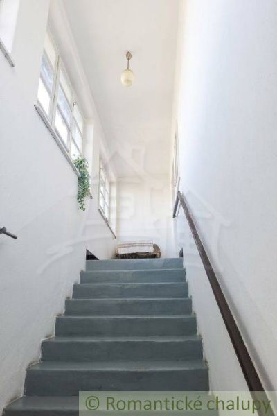 A staircase with blue steps, a window with a hanging plant, and a simple railing in a family house.