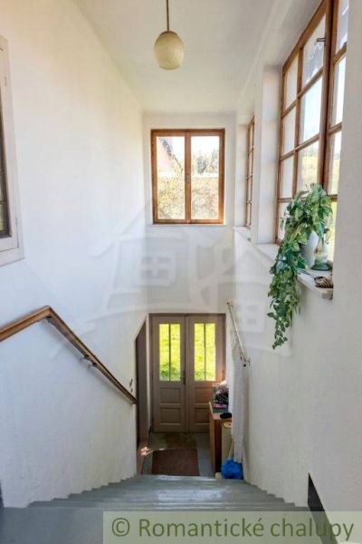 A staircase with a plant in a family house, windows provide a view of the garden.