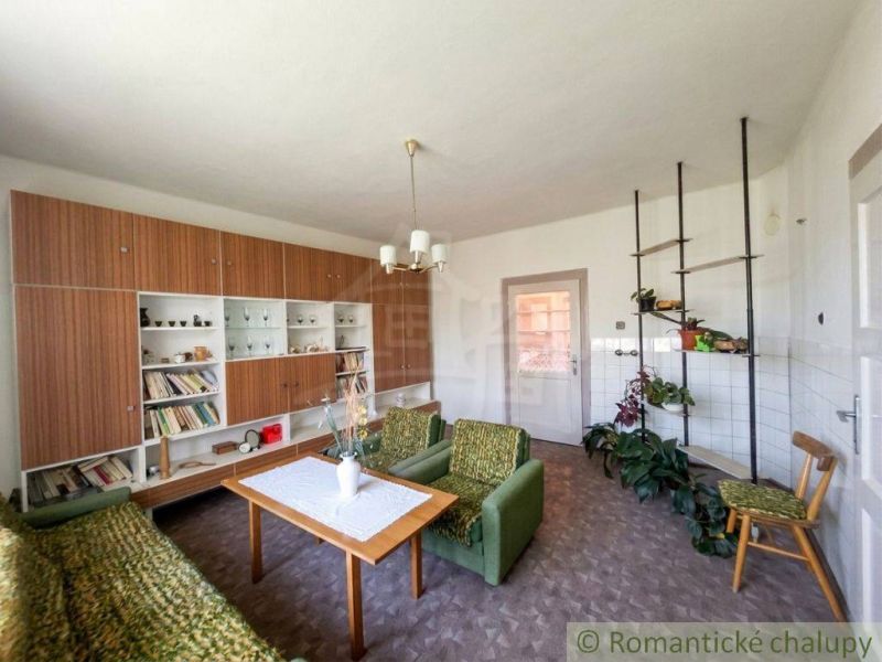 Living room in a family house with a rich library, green furniture, and plants.