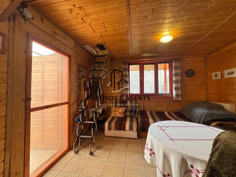 A cabin with a wooden interior, a sofa, a table, and a ladder in a cozy room.