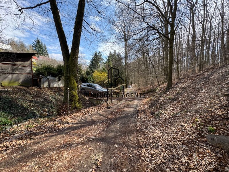 A cottage in Svinica surrounded by forest and a dusty road in a quiet place.