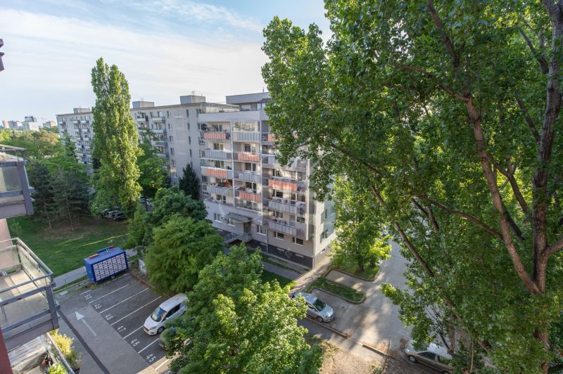 The view from a 2-room apartment on Tomášikova Street in Bratislava - Ružinov, trees and buildings.