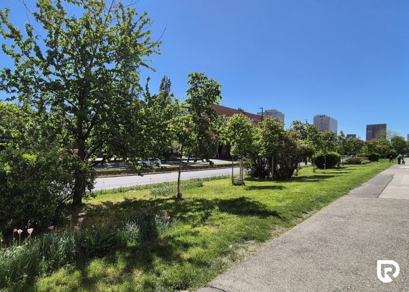Greenery and trees along Račianska 99 Street in Bratislava - Nové Mesto.