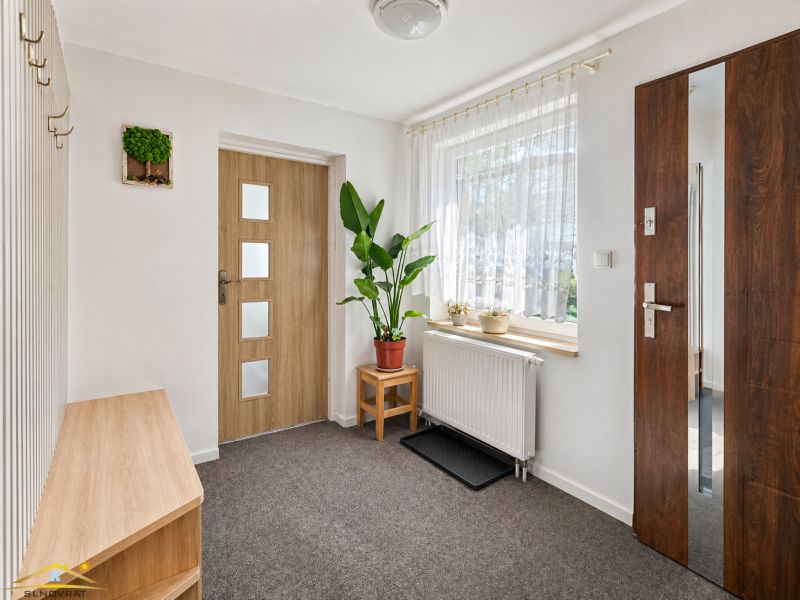 Entrance hallway of a family house with carpet flooring and a window, decorated with a houseplant.