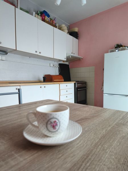 A kitchen in a 2-room apartment with white cabinets and a wood-patterned floor.